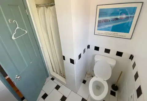 An interior view of a bathroom showing a toilet, shower curtain, and a framed poster.