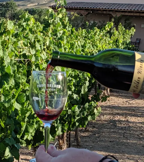 Red wine is poured from a bottle into a glass in front of a vineyard.
