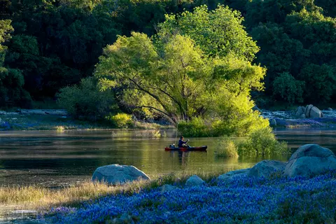 A person in a kayak fishes on a river surrounded by lush trees and wildflowers.