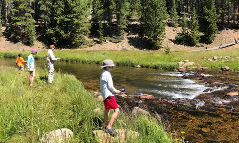 People fishing in a river surrounded by grassy banks and pine trees.