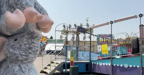 A view of amusement park rides with stuffed animals in the foreground.