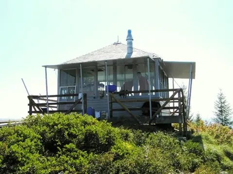 A small cabin with large windows stands on a hill surrounded by green vegetation.