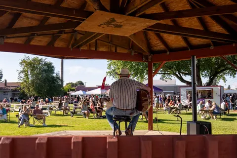 A musician plays guitar under a gazebo for a gathering in a park.