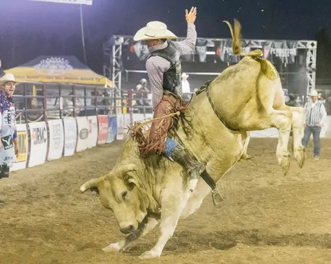 A cowboy rides a bucking bull in an arena.