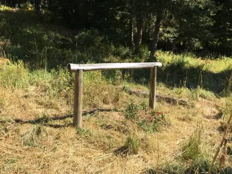 A wooden hitching post stands in a grassy clearing surrounded by trees.