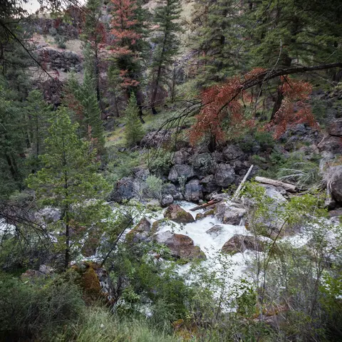 Izee Falls along the South Fork Byway.