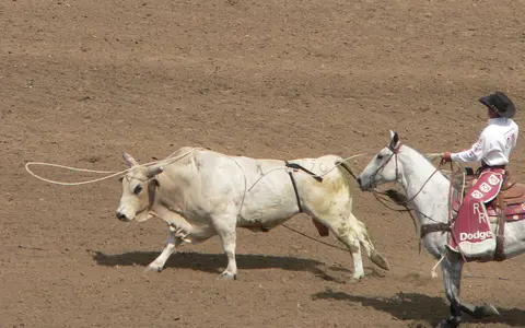 Rodeo event, California Rodeo Salinas.