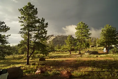 Pine trees and rocky outcrops under a dramatic stormy sky.