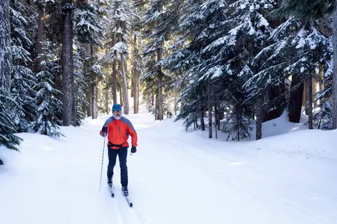 A person cross-country skis on a snowy trail through a forest.