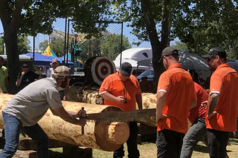 People participating in a logging activity outdoors.