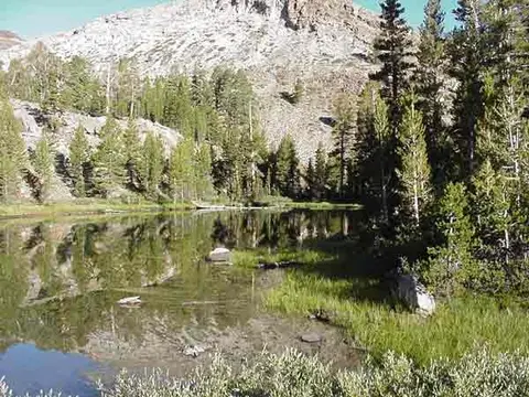 A calm mountain lake surrounded by trees and rocky terrain.