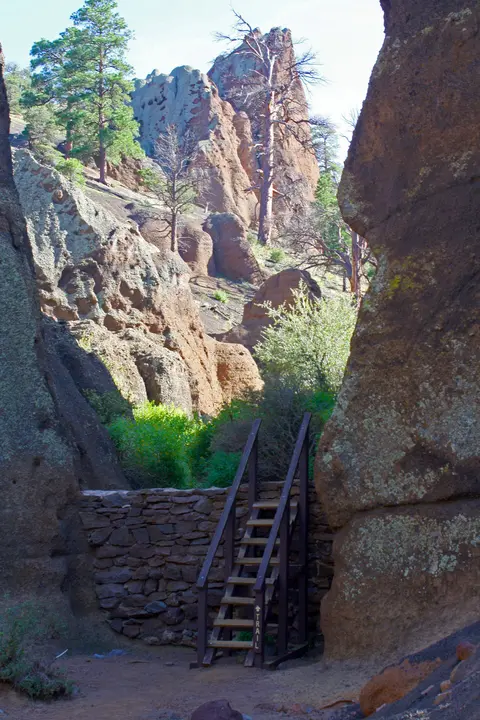 Ladder into amphitheater, Red Mountain Trail.