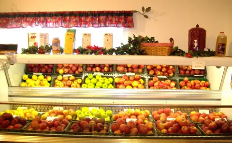 A display case filled with various types of apples in a shop.