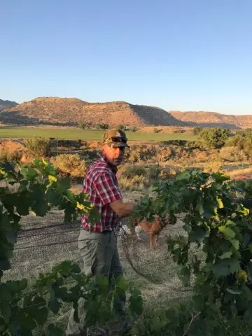 A man stands near a vineyard with mountains in the background.