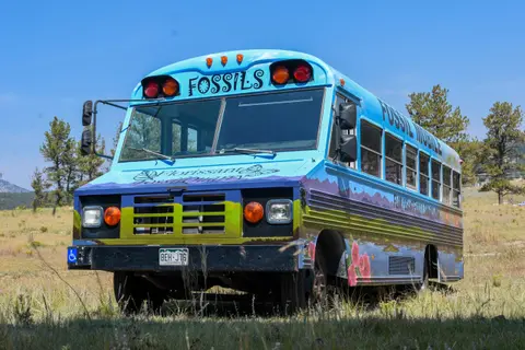 A painted bus parked in a grassy field.