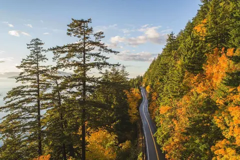 A winding road runs through a forest of tall green and autumn-colored trees beside the water.