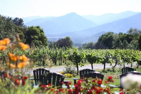 A vineyard view with chairs and mountains in the background.