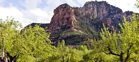 A view of rocky mountains behind green trees and vegetation.