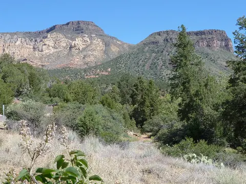 A scenic view of a mountain range with trees and bushes in the foreground.