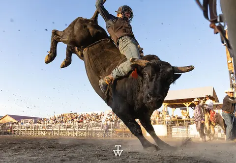A bull rider on a bucking bull during a rodeo event.