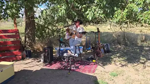 A musician plays guitar outdoors under the shade of trees.