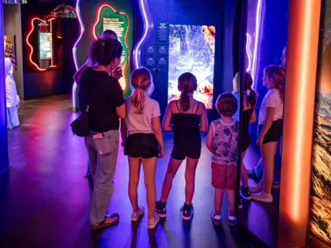People look at interactive displays inside an exhibit hall.