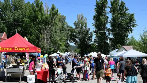 A crowd of people walking through an outdoor street market with vendor tents.