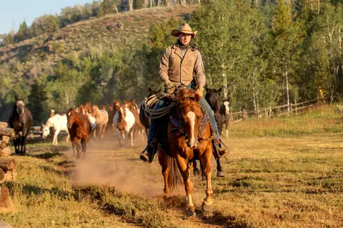 A cowboy rides a horse leading a herd of horses across a grassy field.