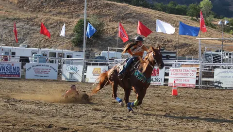 A rider on a horse dragging a person in a rodeo arena.