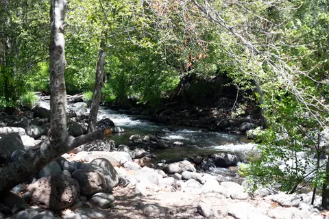 A rocky stream flows through a forested landscape.