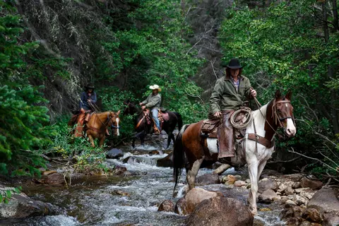 Three people on horseback ride through a shallow rocky stream in a forest.