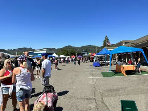 An outdoor street fair with booths and crowds under a blue sky.