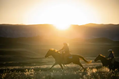 People ride horses across a field at sunset.
