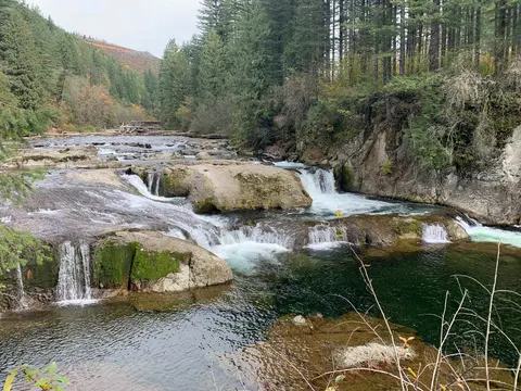 A scenic view of a rushing river with waterfalls and rocky banks surrounded by a dense forest.