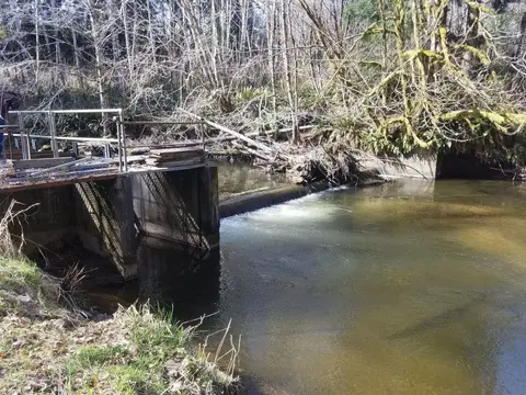 A small dam on a forest river.