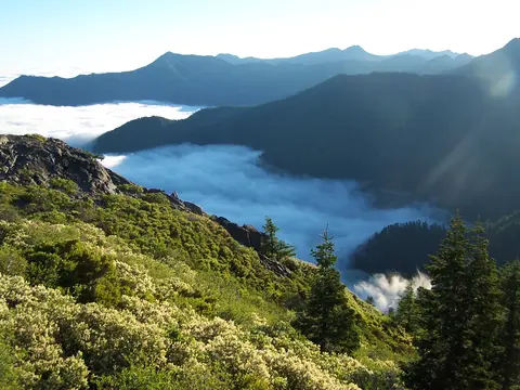 A view of mountains and a sea of clouds from a hillside.