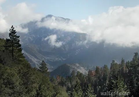 A scenic mountain landscape with clouds and pine trees.