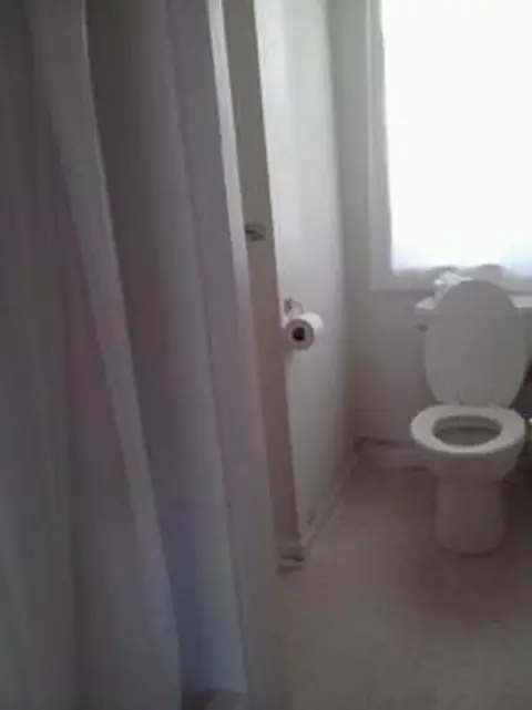 A bathroom interior with a toilet and shower curtain.