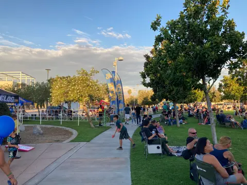 A crowd of people gathers in a park during an outdoor event.
