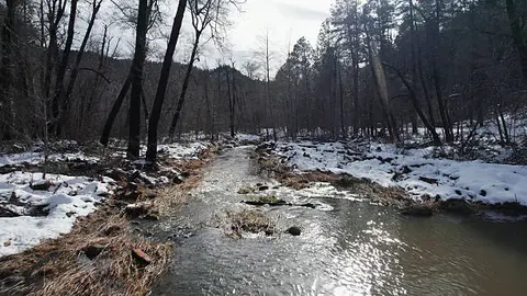 A stream flows through a snow-covered forest and mountainous landscape.