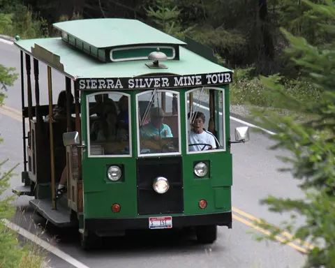 A green tour trolley drives down a road.