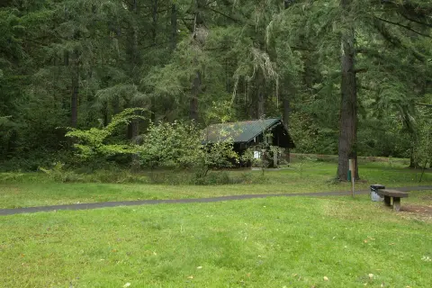 A small cabin stands in a clearing surrounded by tall trees.