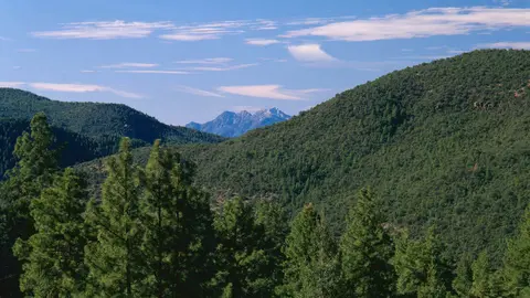 A view of forested hills and mountains under a blue sky with clouds.