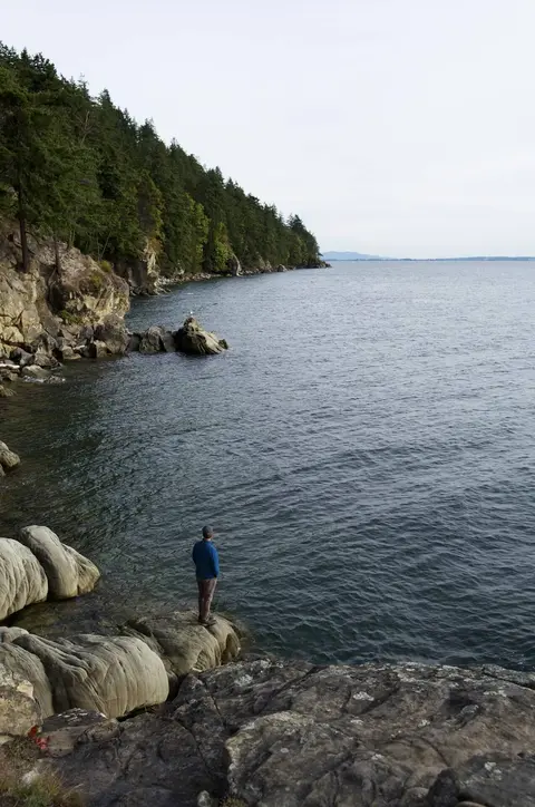 A person stands on a rocky shore looking out over the water next to a forested coastline.
