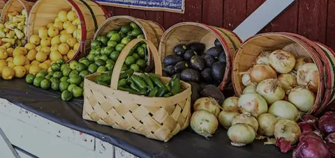 Baskets filled with various fresh vegetables are displayed on a stand.