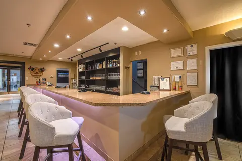 An interior view of a bar with upholstered chairs and a counter.