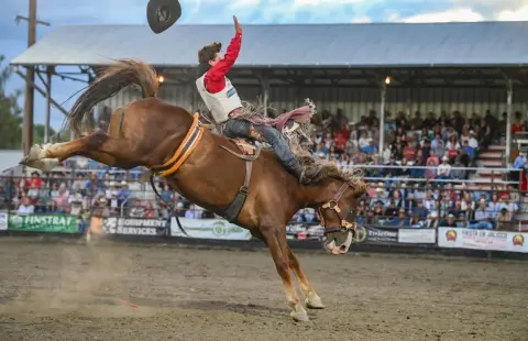 A cowboy rides a bucking horse at a rodeo arena.