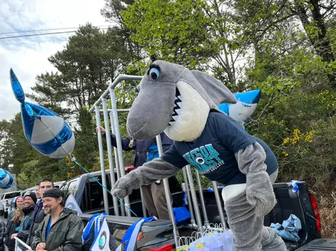 A person in a shark costume stands in the back of a pickup truck with balloons and spectators nearby.
