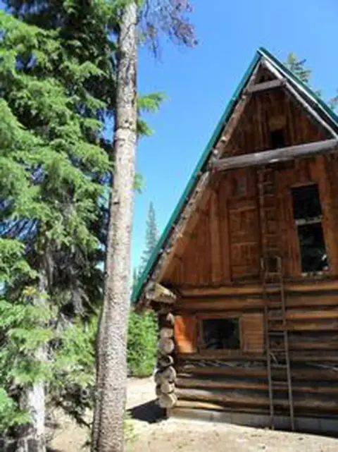 A rustic wooden cabin nestled among tall trees outdoors.
