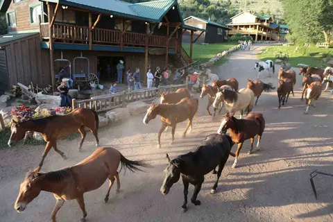 A herd of horses runs along a dirt path near a wooden ranch building.